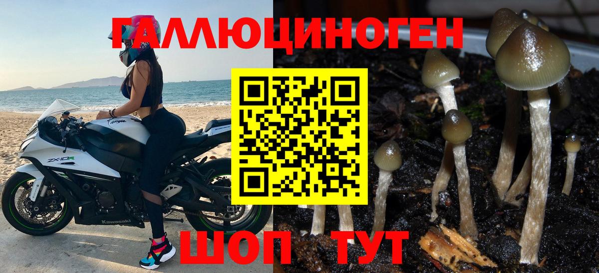 Благодарный  Галлюциногенные грибы Psilocybe  Вход с VPN 